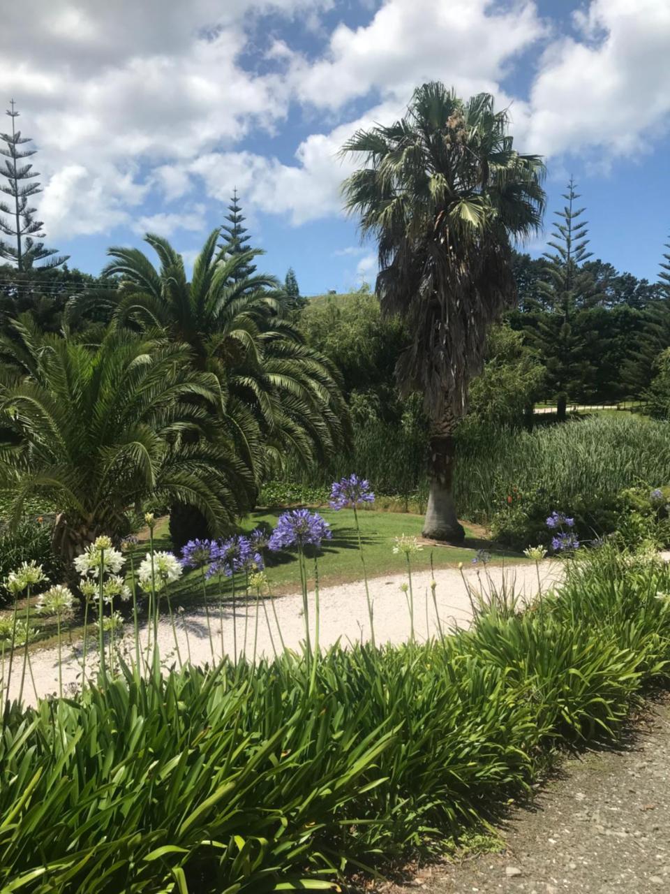 Paradise Grove Whangamata Zewnętrze zdjęcie