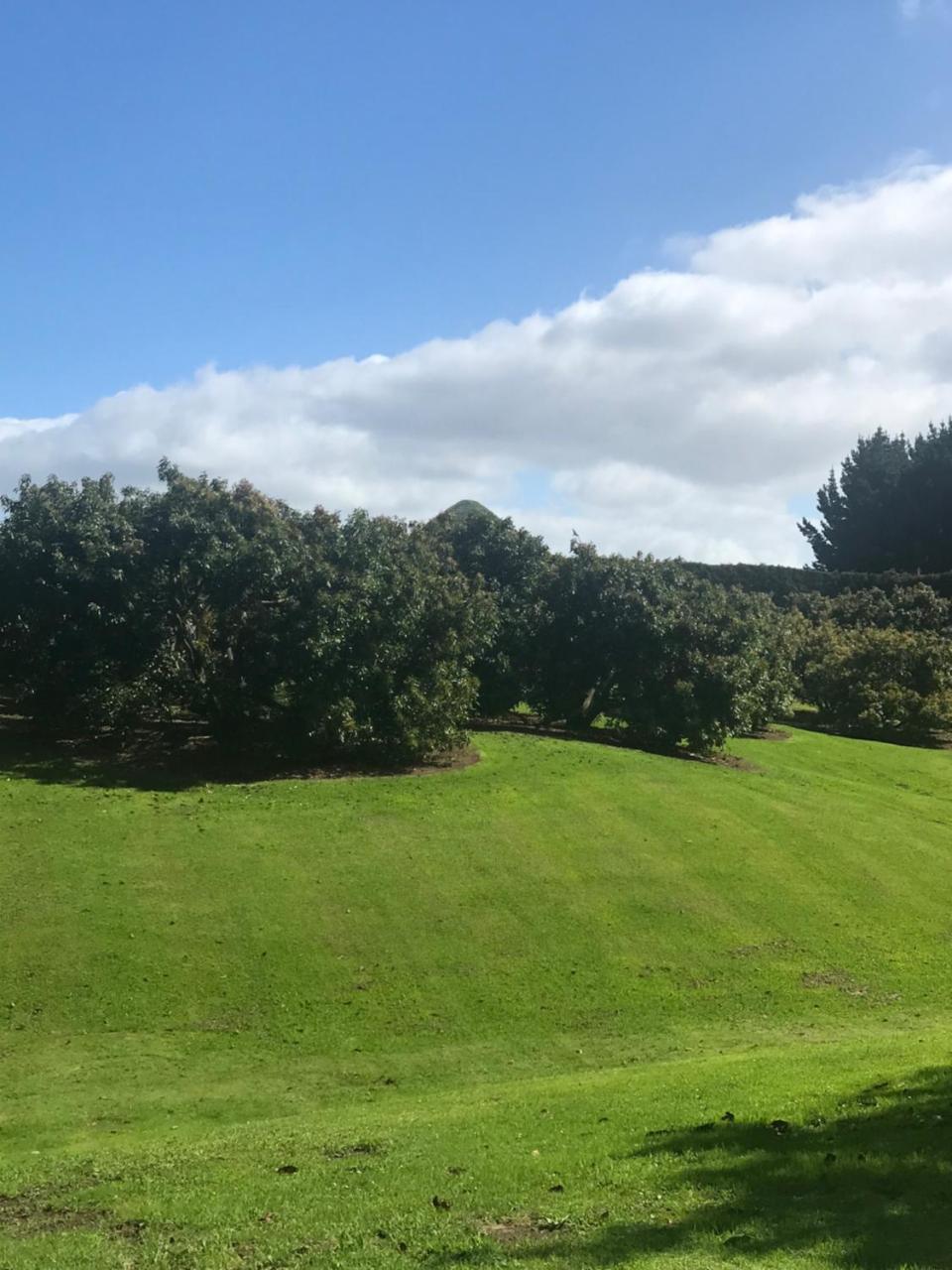 Paradise Grove Whangamata Zewnętrze zdjęcie